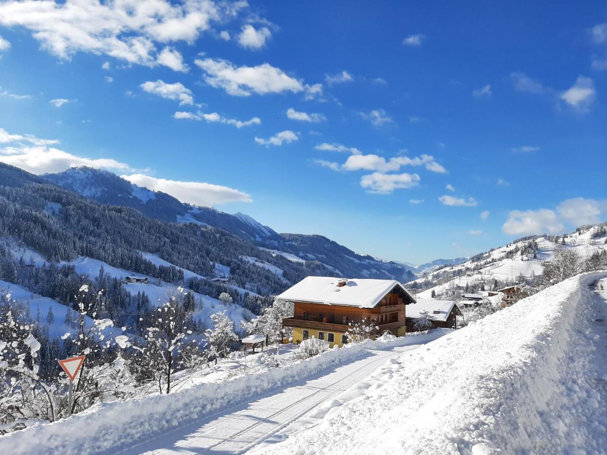 Landhof Kreuzsalgut Apartment Wagrain Bagian luar foto