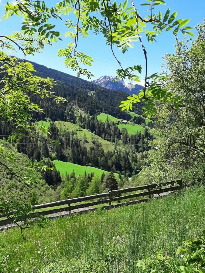 Landhof Kreuzsalgut Apartment Wagrain Bagian luar foto