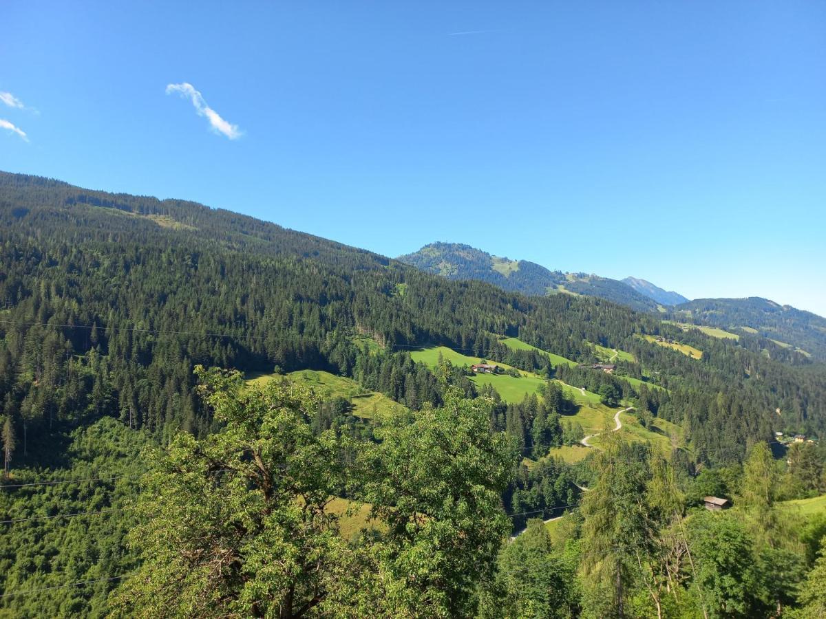 Landhof Kreuzsalgut Apartment Wagrain Bagian luar foto